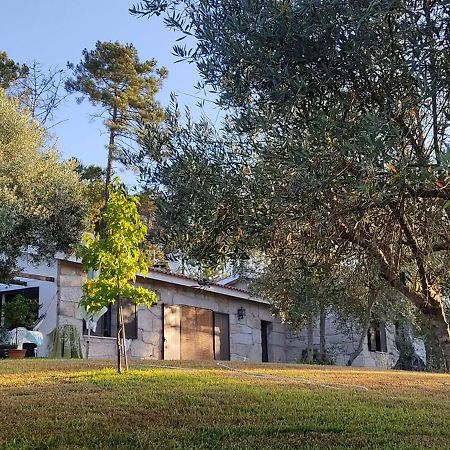 Santar Quinta Da Pedra Mija旅馆 外观 照片