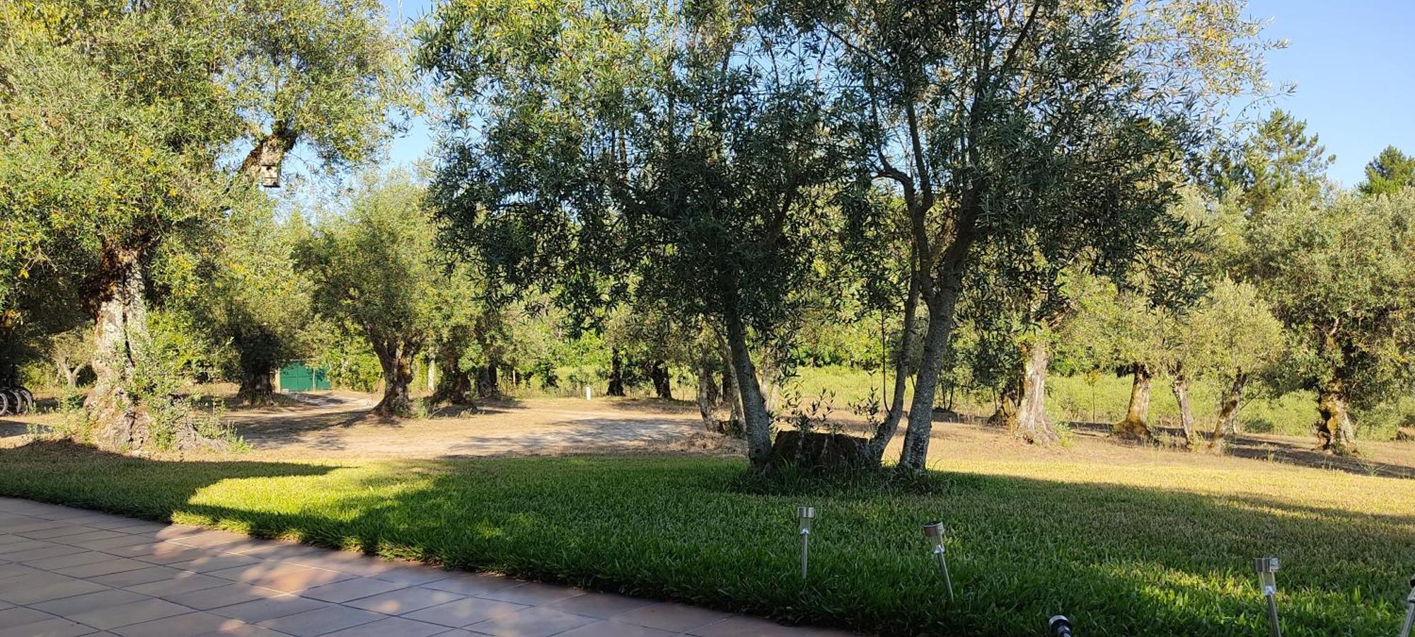 Santar Quinta Da Pedra Mija旅馆 外观 照片