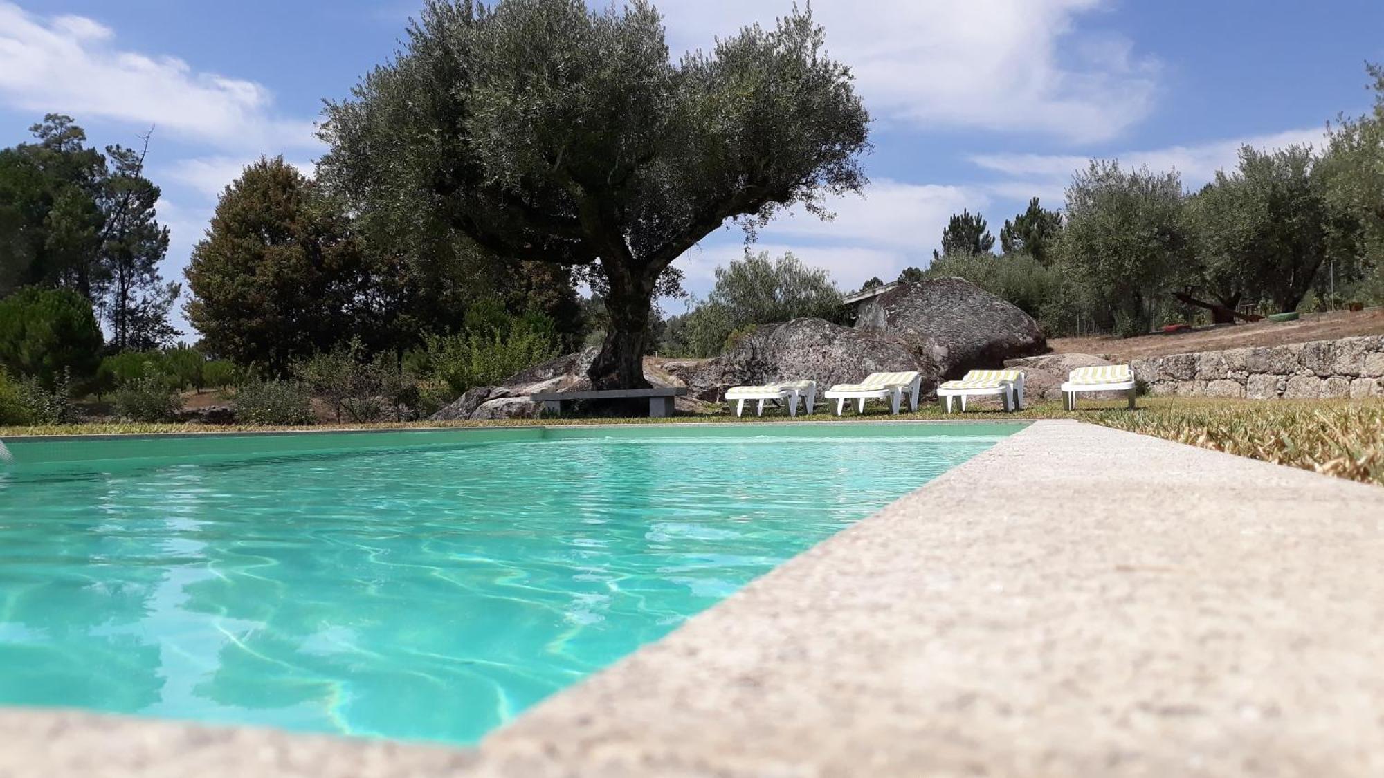 Santar Quinta Da Pedra Mija旅馆 外观 照片