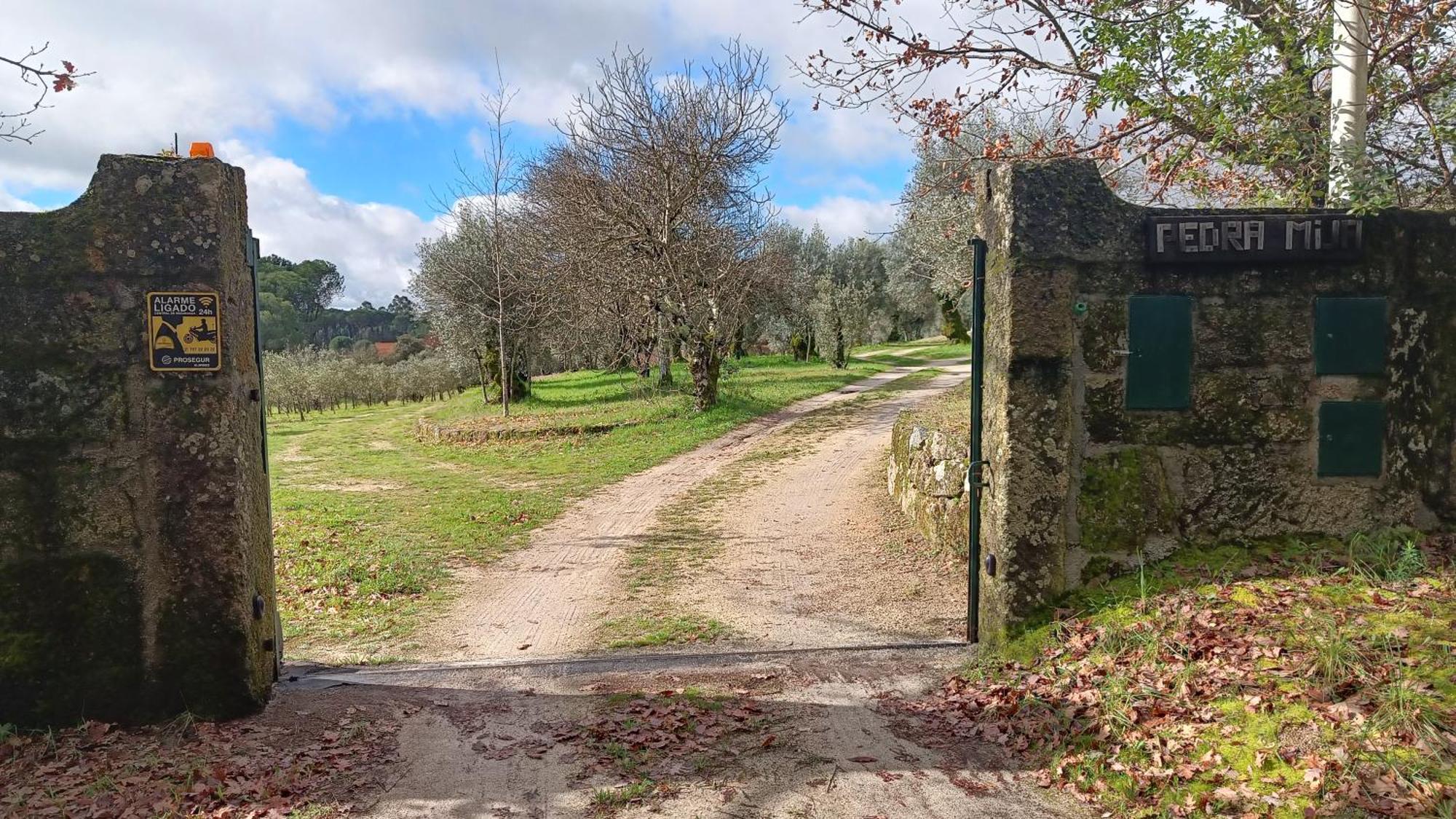 Santar Quinta Da Pedra Mija旅馆 外观 照片