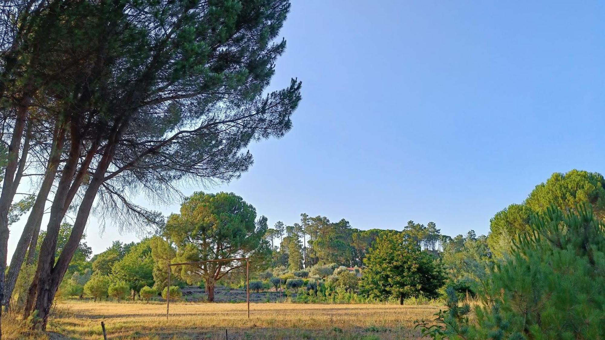 Santar Quinta Da Pedra Mija旅馆 外观 照片