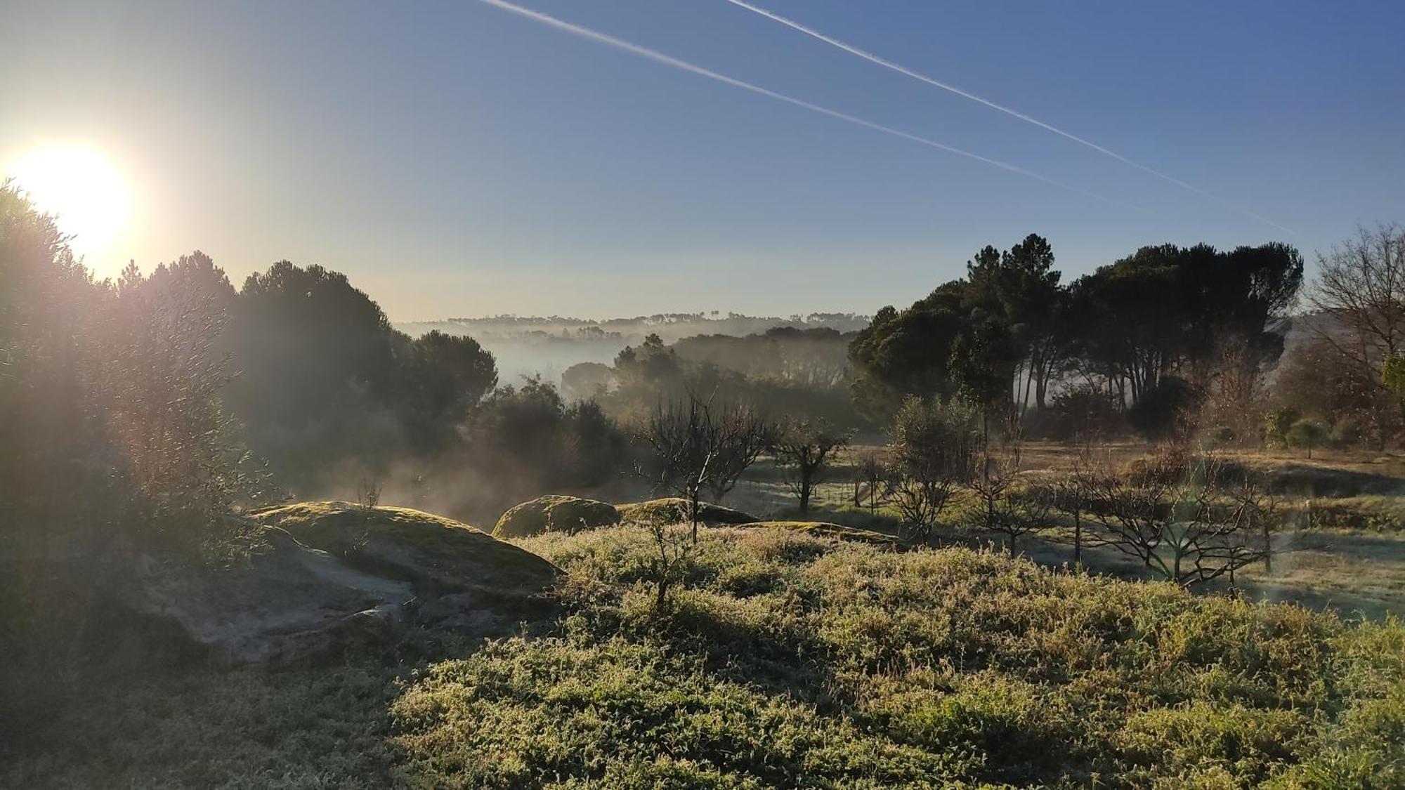 Santar Quinta Da Pedra Mija旅馆 外观 照片