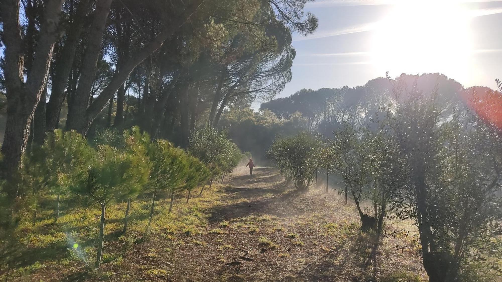 Santar Quinta Da Pedra Mija旅馆 外观 照片