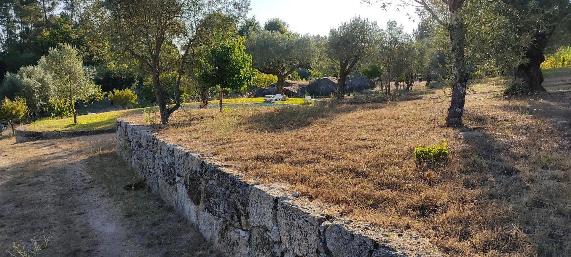 Santar Quinta Da Pedra Mija旅馆 外观 照片