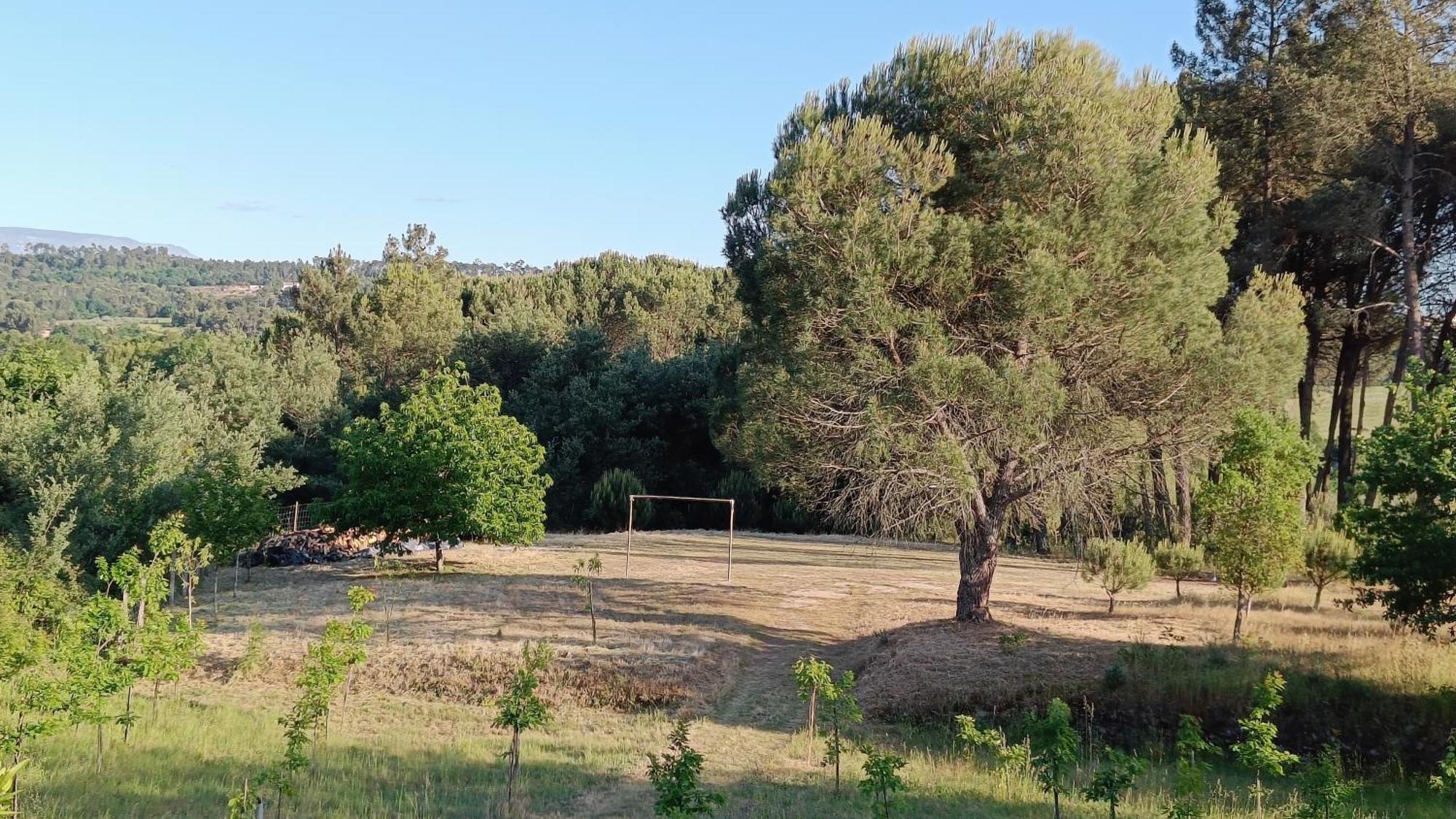 Santar Quinta Da Pedra Mija旅馆 外观 照片