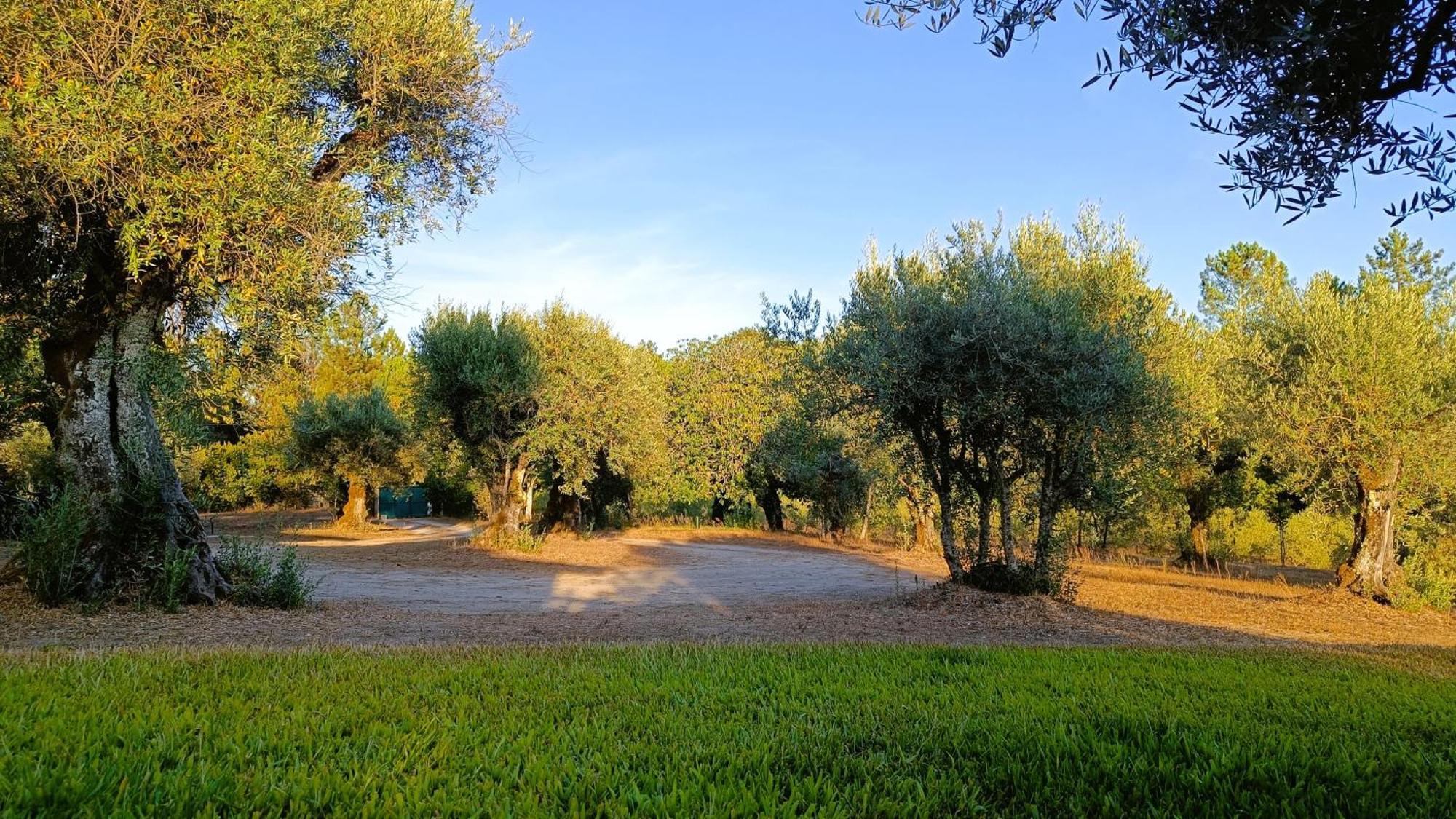 Santar Quinta Da Pedra Mija旅馆 外观 照片