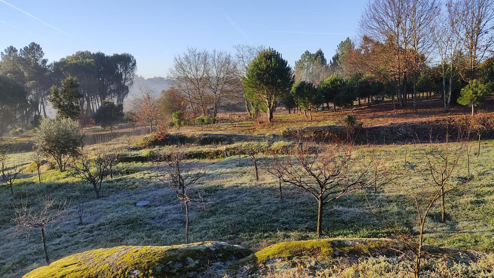 Santar Quinta Da Pedra Mija旅馆 外观 照片