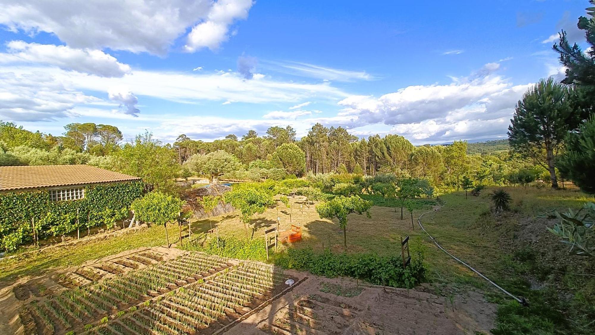 Santar Quinta Da Pedra Mija旅馆 外观 照片