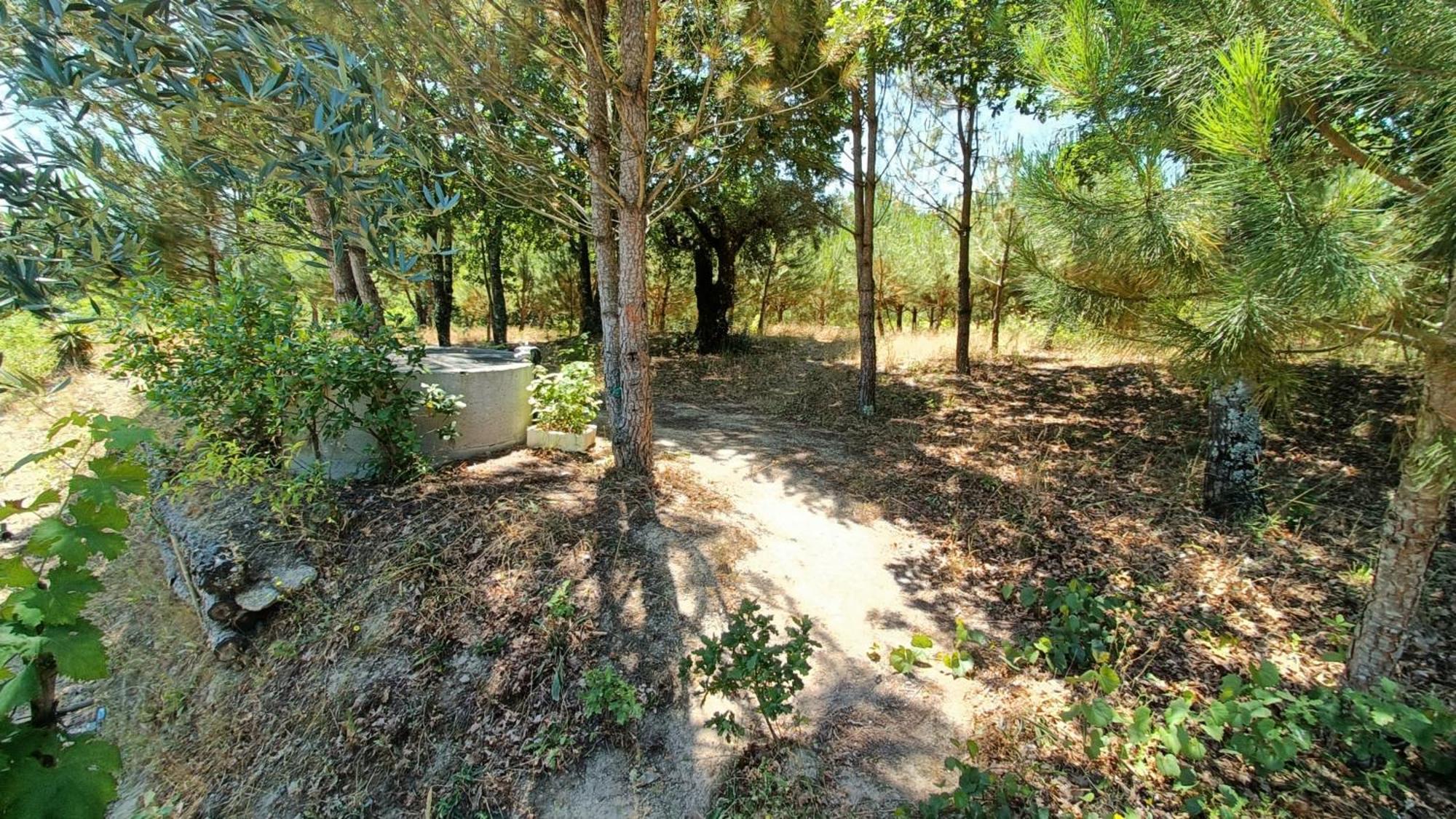 Santar Quinta Da Pedra Mija旅馆 外观 照片