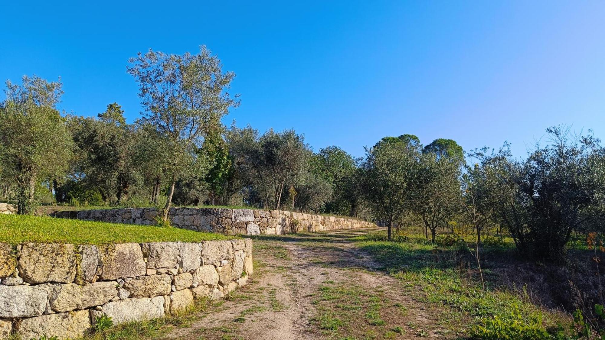 Santar Quinta Da Pedra Mija旅馆 外观 照片