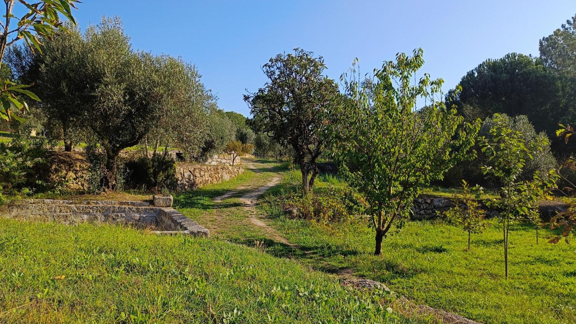 Santar Quinta Da Pedra Mija旅馆 外观 照片