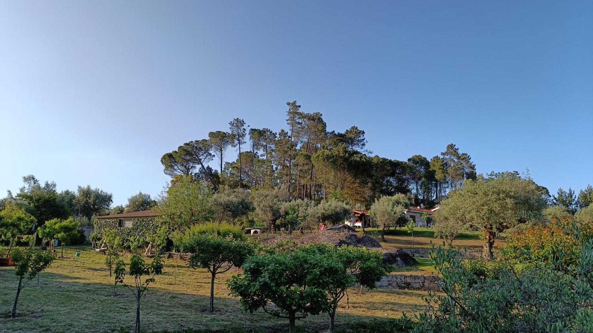 Santar Quinta Da Pedra Mija旅馆 外观 照片