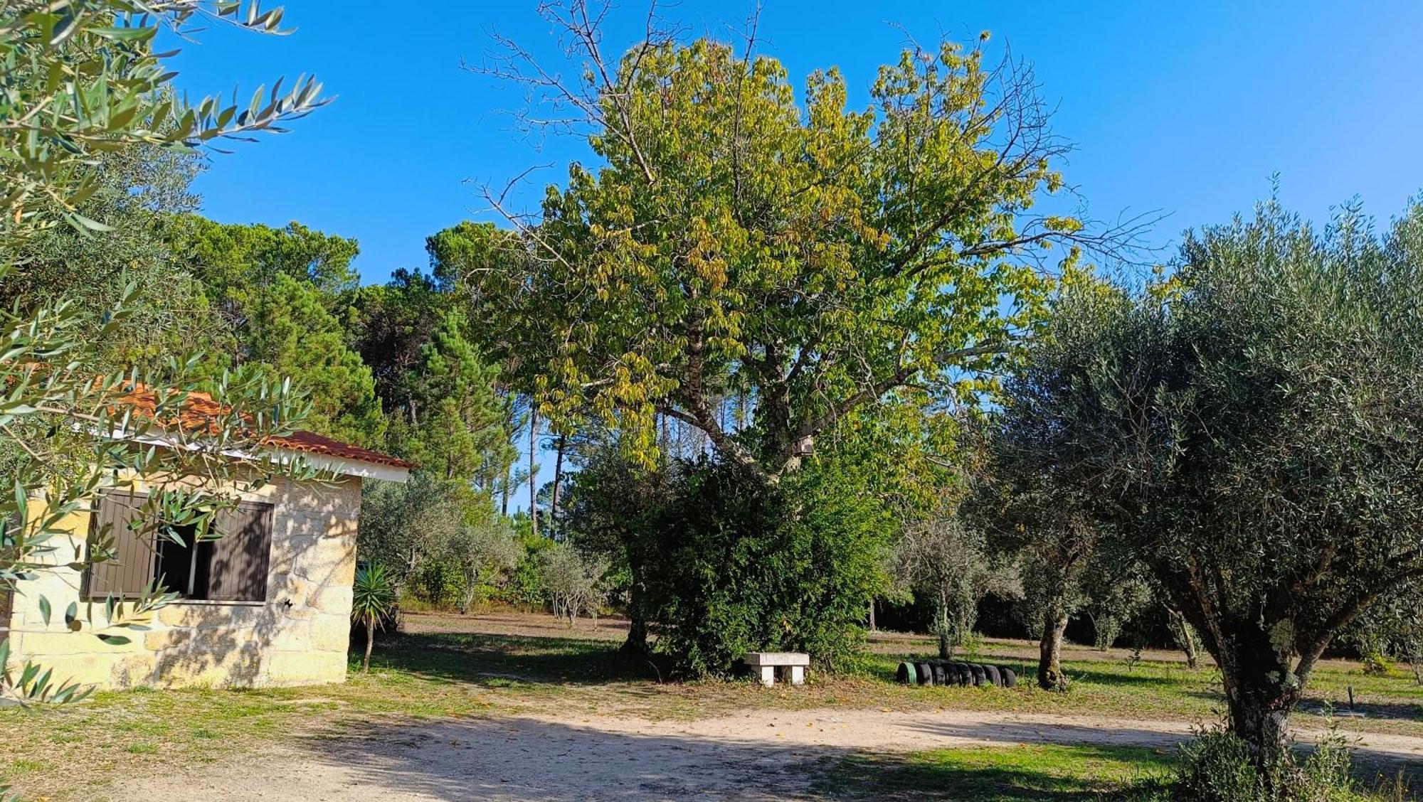 Santar Quinta Da Pedra Mija旅馆 外观 照片