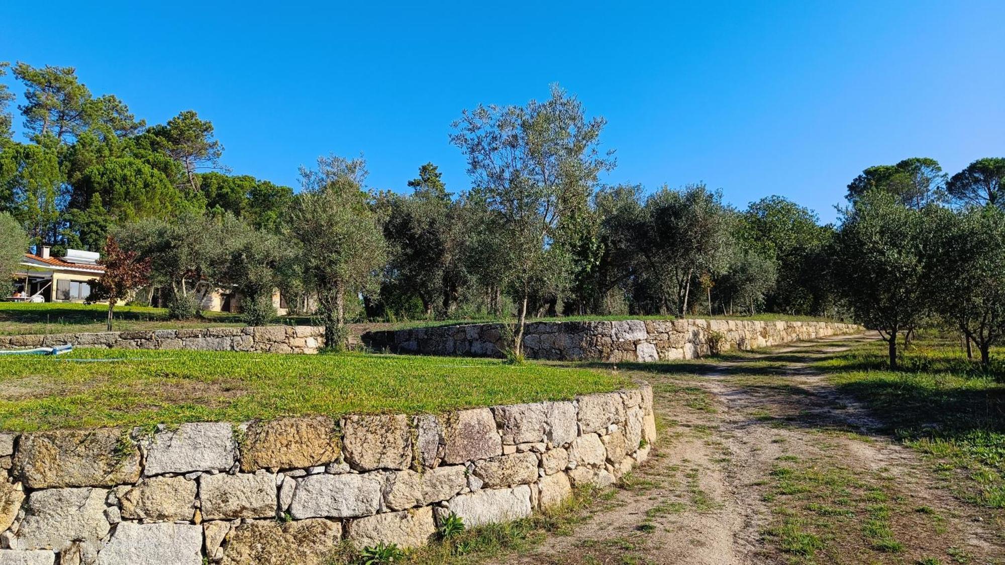 Santar Quinta Da Pedra Mija旅馆 外观 照片