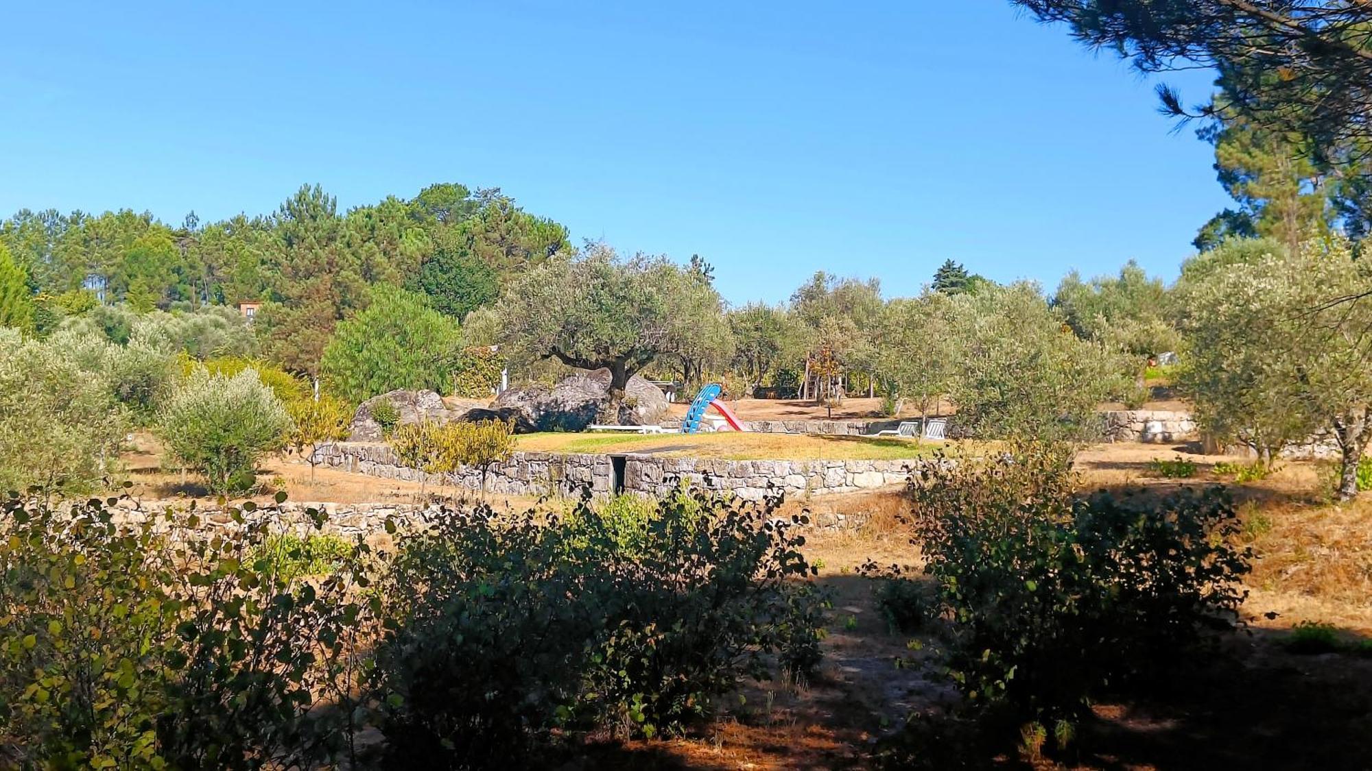 Santar Quinta Da Pedra Mija旅馆 外观 照片