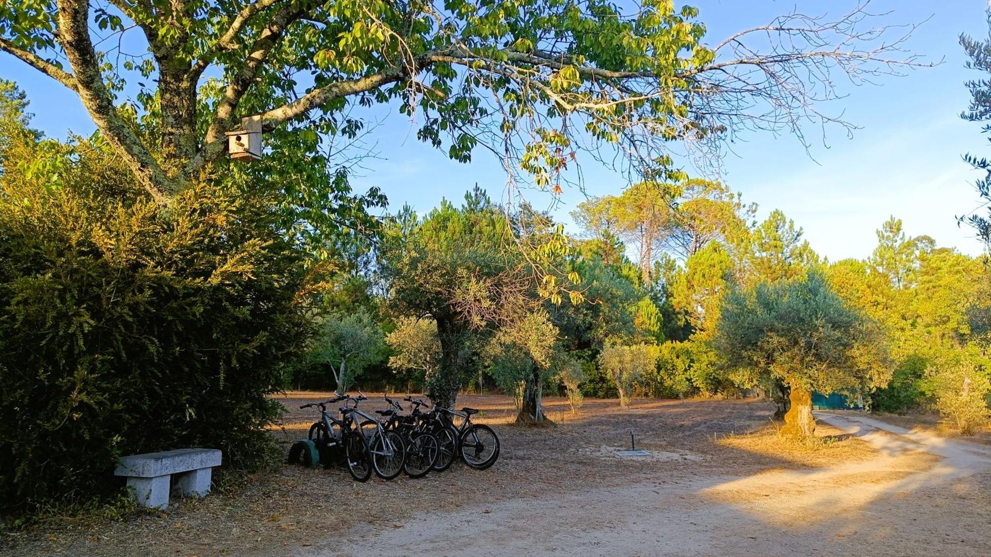 Santar Quinta Da Pedra Mija旅馆 外观 照片