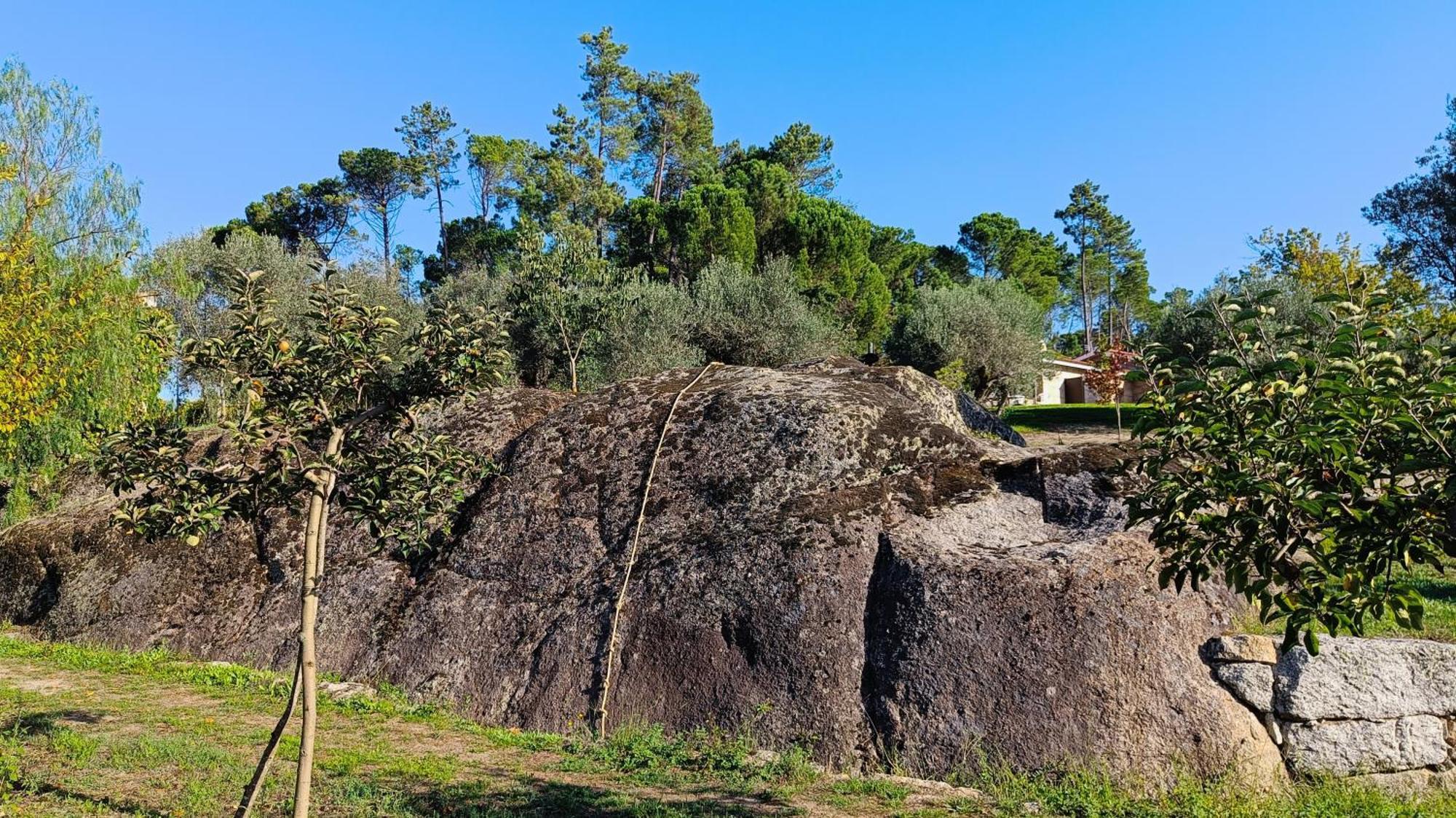 Santar Quinta Da Pedra Mija旅馆 外观 照片