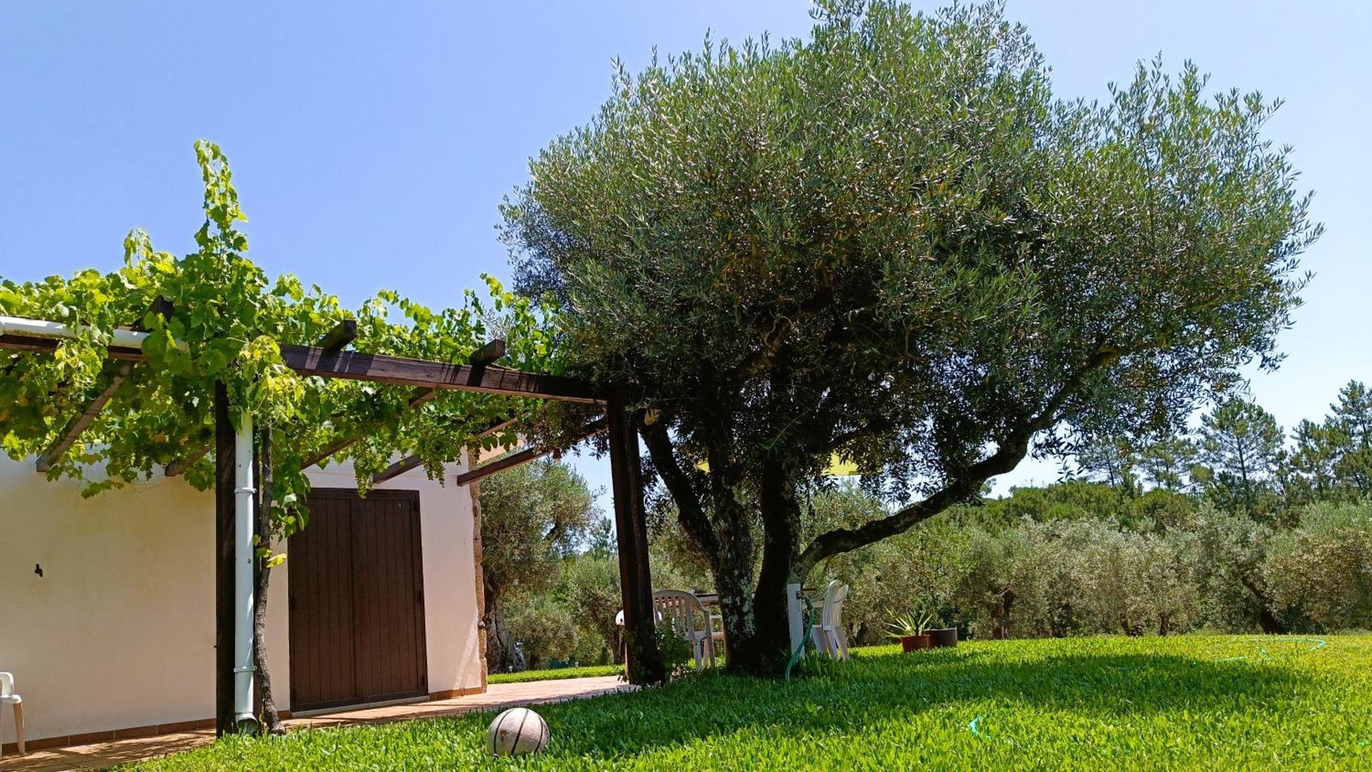 Santar Quinta Da Pedra Mija旅馆 外观 照片