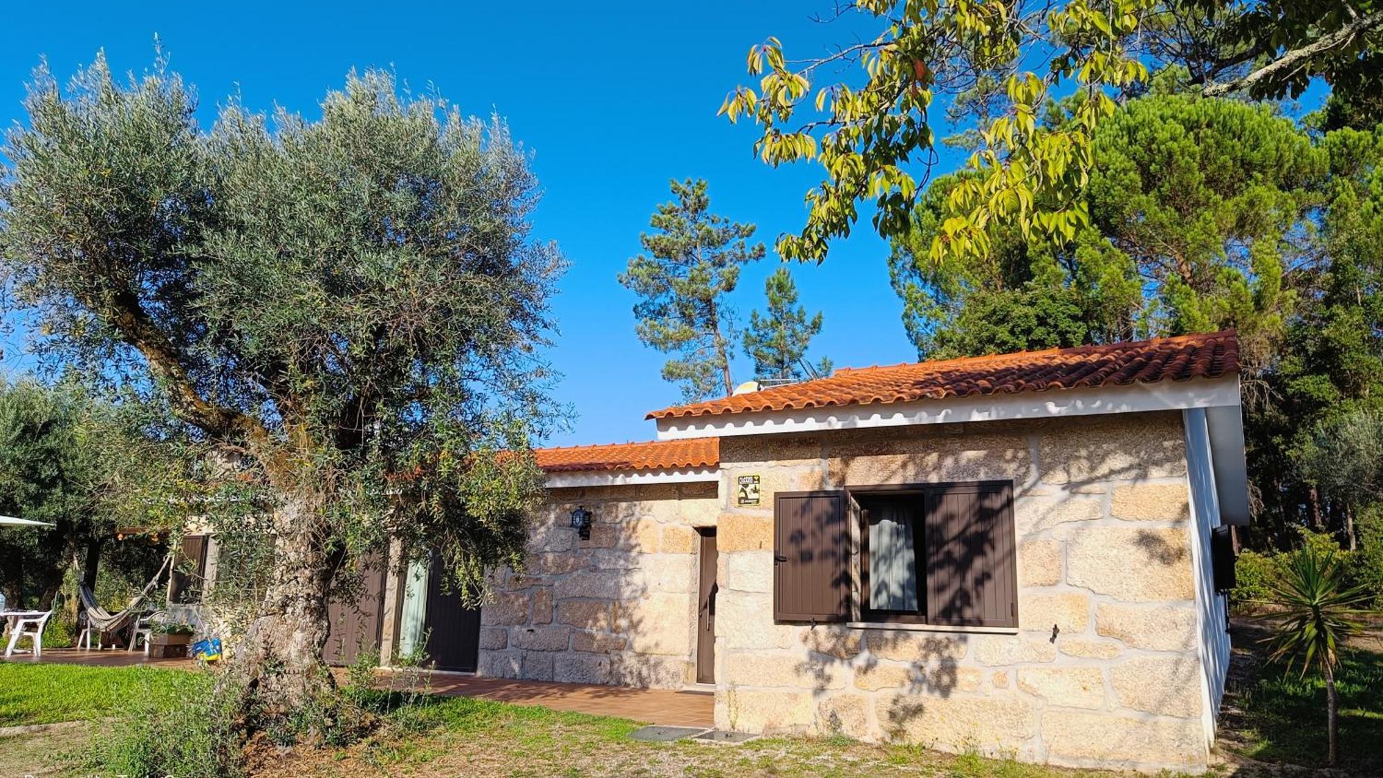 Santar Quinta Da Pedra Mija旅馆 外观 照片