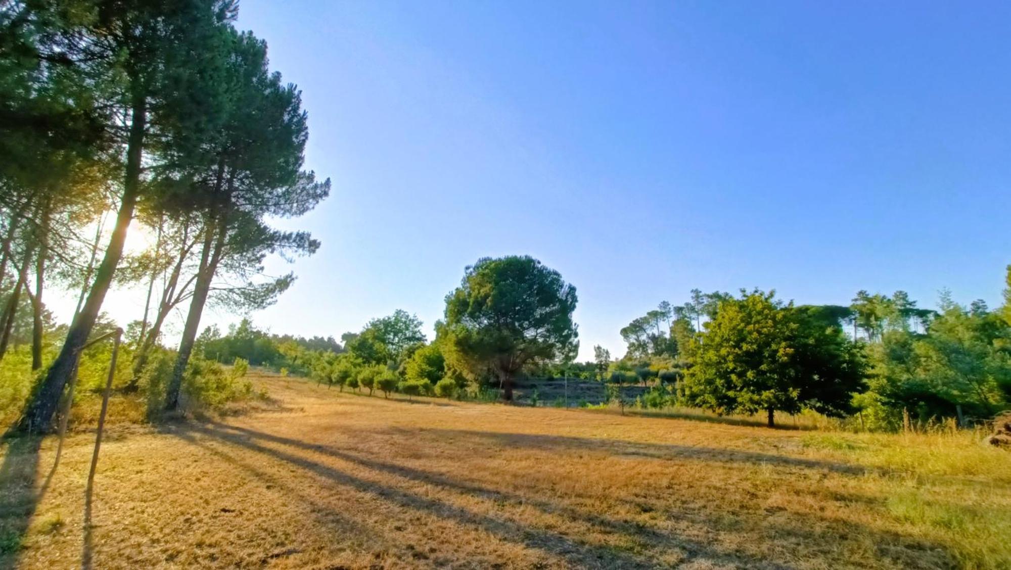 Santar Quinta Da Pedra Mija旅馆 外观 照片