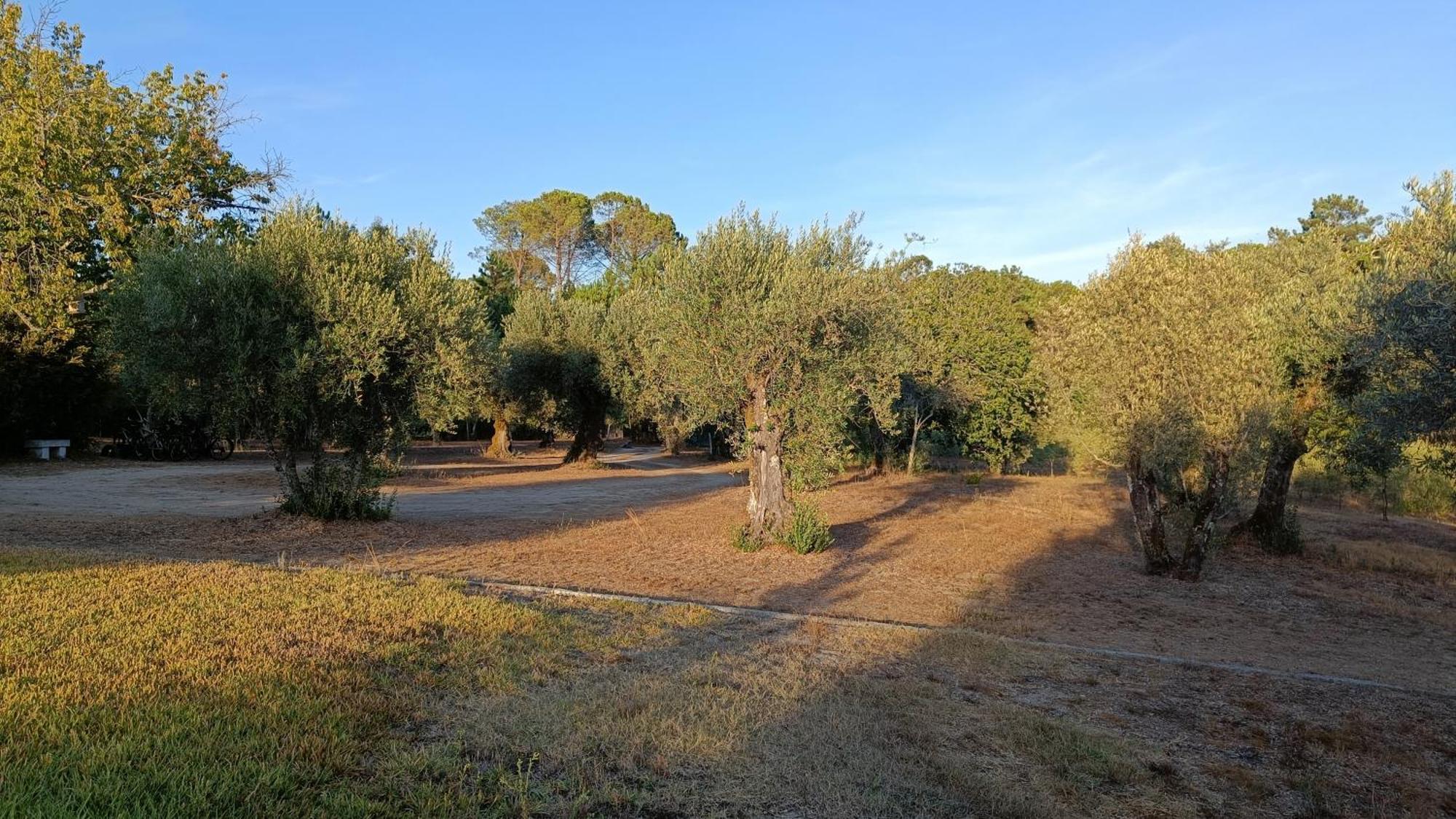 Santar Quinta Da Pedra Mija旅馆 外观 照片