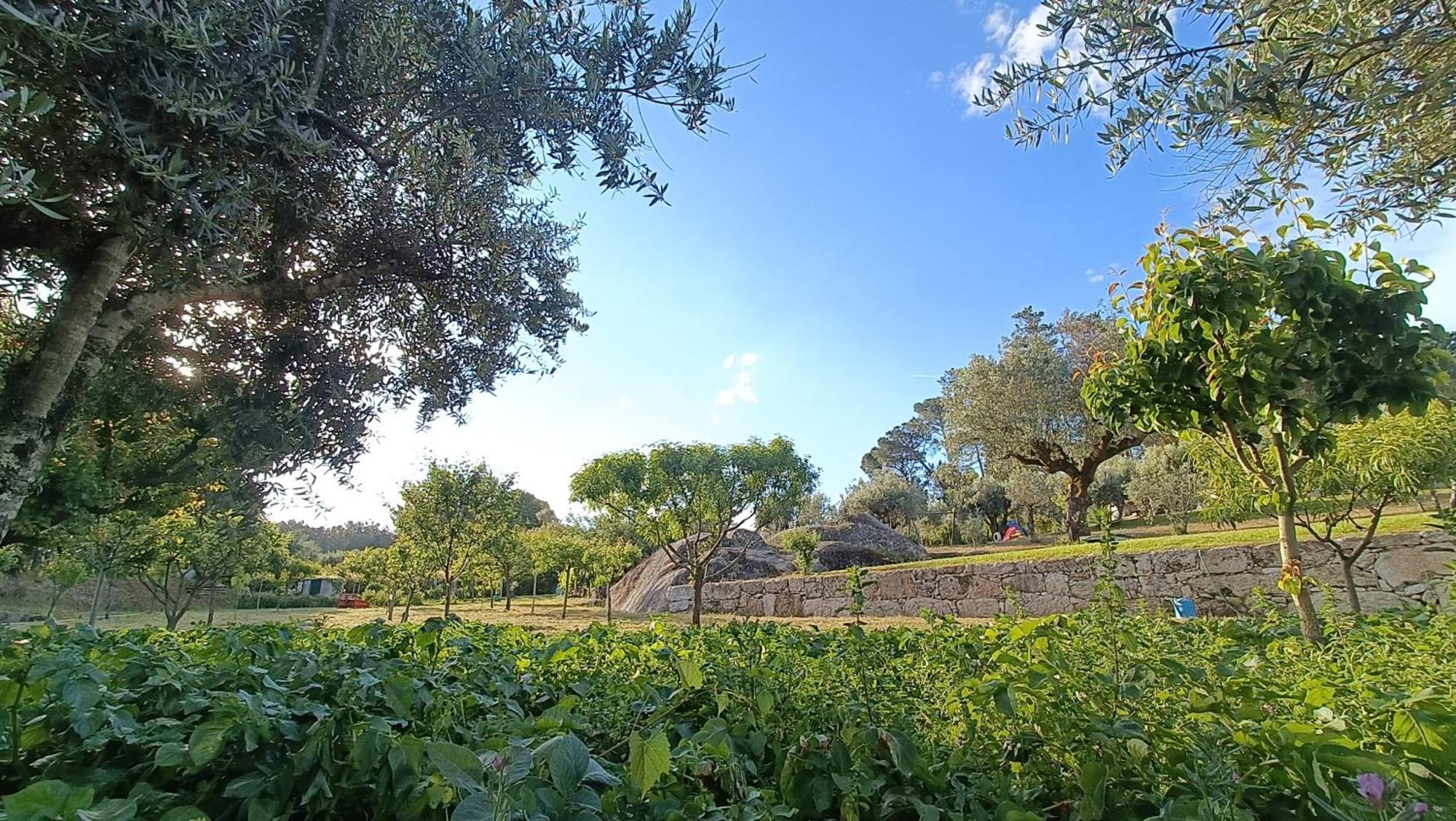 Santar Quinta Da Pedra Mija旅馆 外观 照片