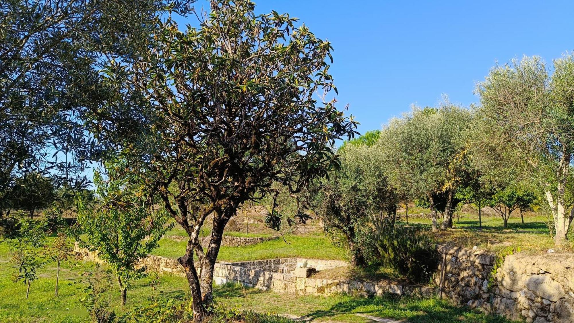 Santar Quinta Da Pedra Mija旅馆 外观 照片