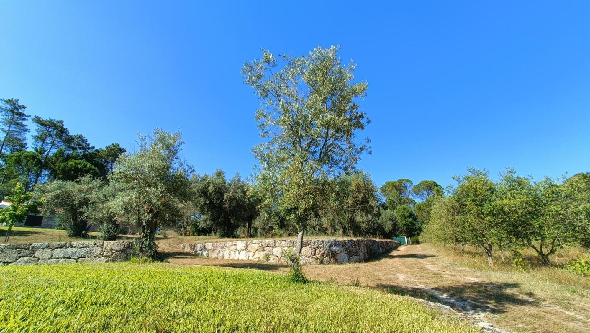Santar Quinta Da Pedra Mija旅馆 外观 照片