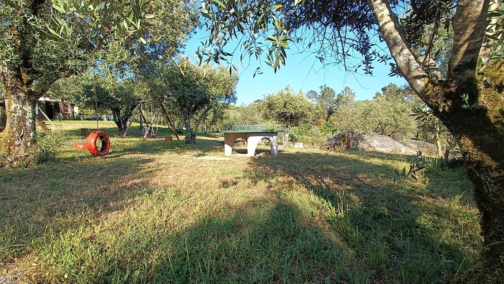Santar Quinta Da Pedra Mija旅馆 外观 照片
